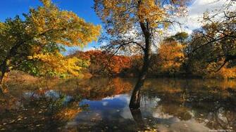 Autumn Nature Wallpaper Image