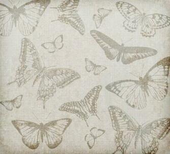 Butterfly Background Vintage Stock Photo Public Domain Pictures