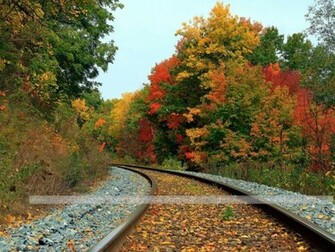 Beautiful Autumn Scenery Wallpaper