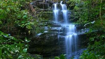 Waterfall And Plant Background Wallpaper