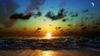 Sun Shining Through The Golden Forest HD Wallpaper