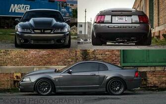 Sick Terminator Cobra Favorite Vehicles