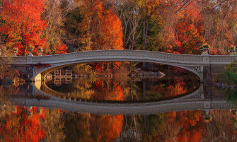 Image New York City Usa Central Park Autumn Bridge Nature Parks
