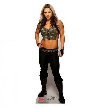 Image Search Wwe Kaitlyn