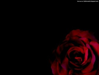 Gothic Rose Dark Wallpaper