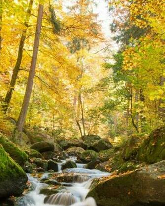Wallpaper Pemandangan Alam For Android Apk