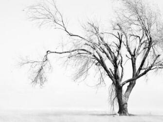Sad Tree Desktop Pc And Mac Wallpaper