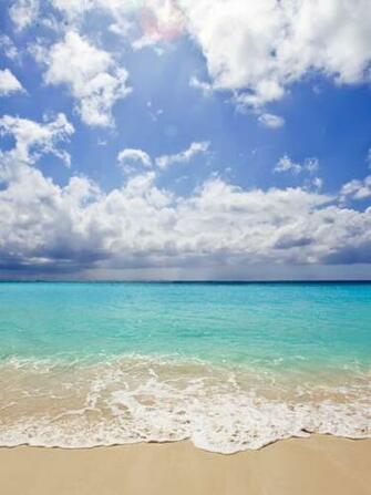 Caribbean Walldesk Chivat
