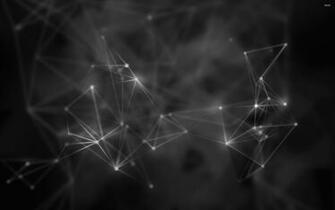 Connections Wallpaper
