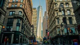 New York City Bird Wallpaper