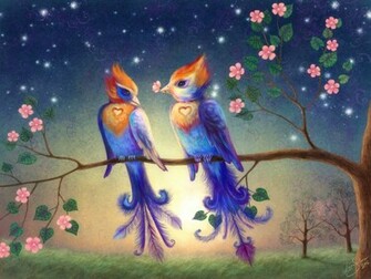 Beautiful Love Birds Wallpaper Funny Animal