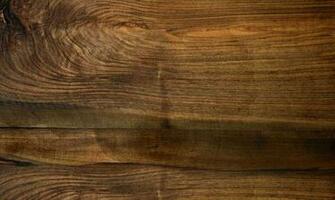 Best Woodsy Background