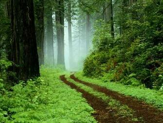 Rainy Day HD Wallpaper Pictures Image Background Photos