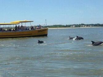 Picture Of Captain Mike S Dolphin Tours Tybee Island TriPadvisor