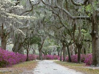 Savannah Georgia Wallpaper HD