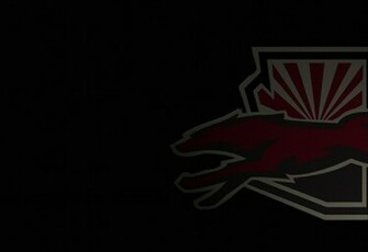 Phoenix Coyotes Graphics Code Comments Pictures
