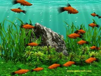 Fish Moving Screensaver With 3d Tank