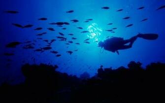 Scuba Diving Wallpaper