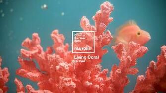 Graphics Pantone Digital Wallpaper