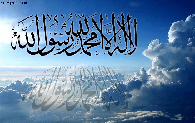 Beautiful Pitcher Wallpaper Islami