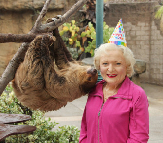 Top Betty White Wallpaper Full HD 4k To Use