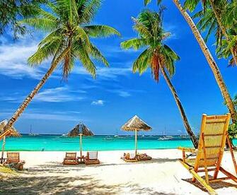 High Definition Tropical Wallpaper On