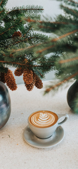 White Ceramic Coffee Mug On Saucer In Front Green iPhone