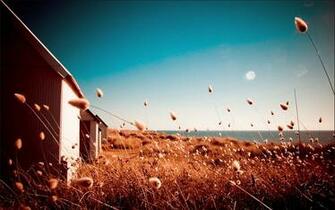 High Definition Wallpaper Widescreen Lcd Desktop
