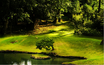 Wallpaper Background S Natural