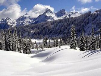 Snow Wallpaper Desktop Background