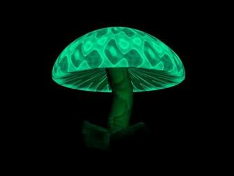 Magic Mushroom Wallpaper
