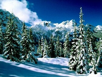 Winter Wallpaper