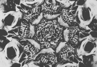 Black And White Backgroundart Background Skull