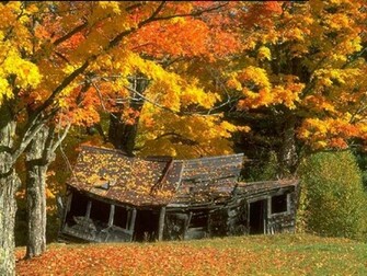 Thanksgiving And Autumn Desktop Wallpaper
