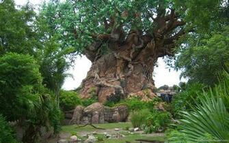Disney Wallpaper Animal Kingdom