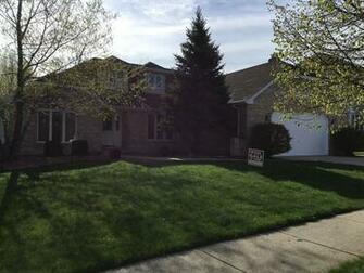 Paw Ave Orland Park Il Bed Bath Single