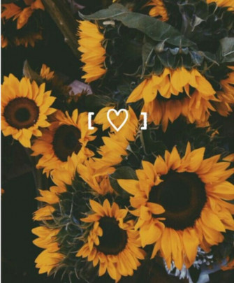 Flowers Wallpaper