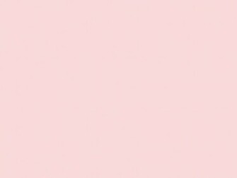 Resolution Pale Pink Solid Color Background And