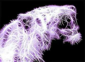 Animals Abstract Tigers Big Cats Tiger Wallpaper