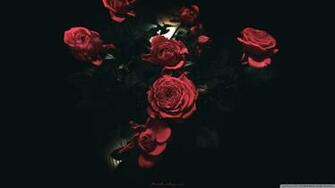 Dark Roses 4k HD Desktop Wallpaper For Ultra Tv Wide