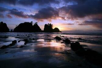 Image Olympic National Park Nature Parks