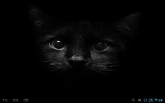 Black Cats Live Wallpaper Android Apps On Google Play