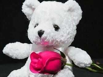 Cute Teddy Bear Wallpaper Wallpaperpick