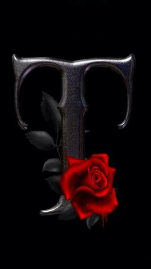 T Name Wallpaper Pixshark Image Galleries