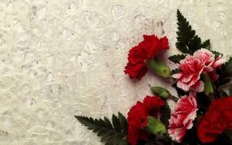 Carnation Decor Desktop Pc And Mac Wallpaper
