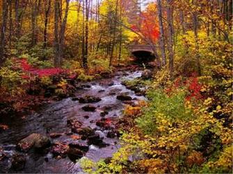 Autumn HD Wallpaper Image