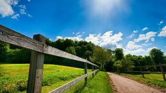Summer Country Road Wallpaper Desktop