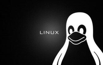 Wallpaper Details File Name Linux Uploaded By Gustauma Date