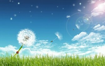 Dandelion Desktop Wallpaper