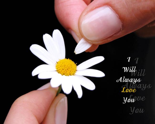 Country Music Quotes Wallpaper Clipart Panda Image